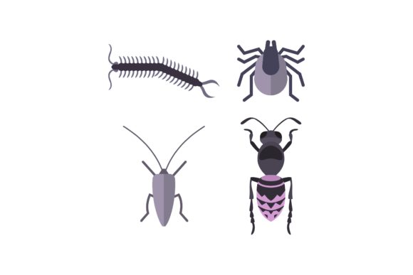Unlocking Creativity with Insect Animal Vector